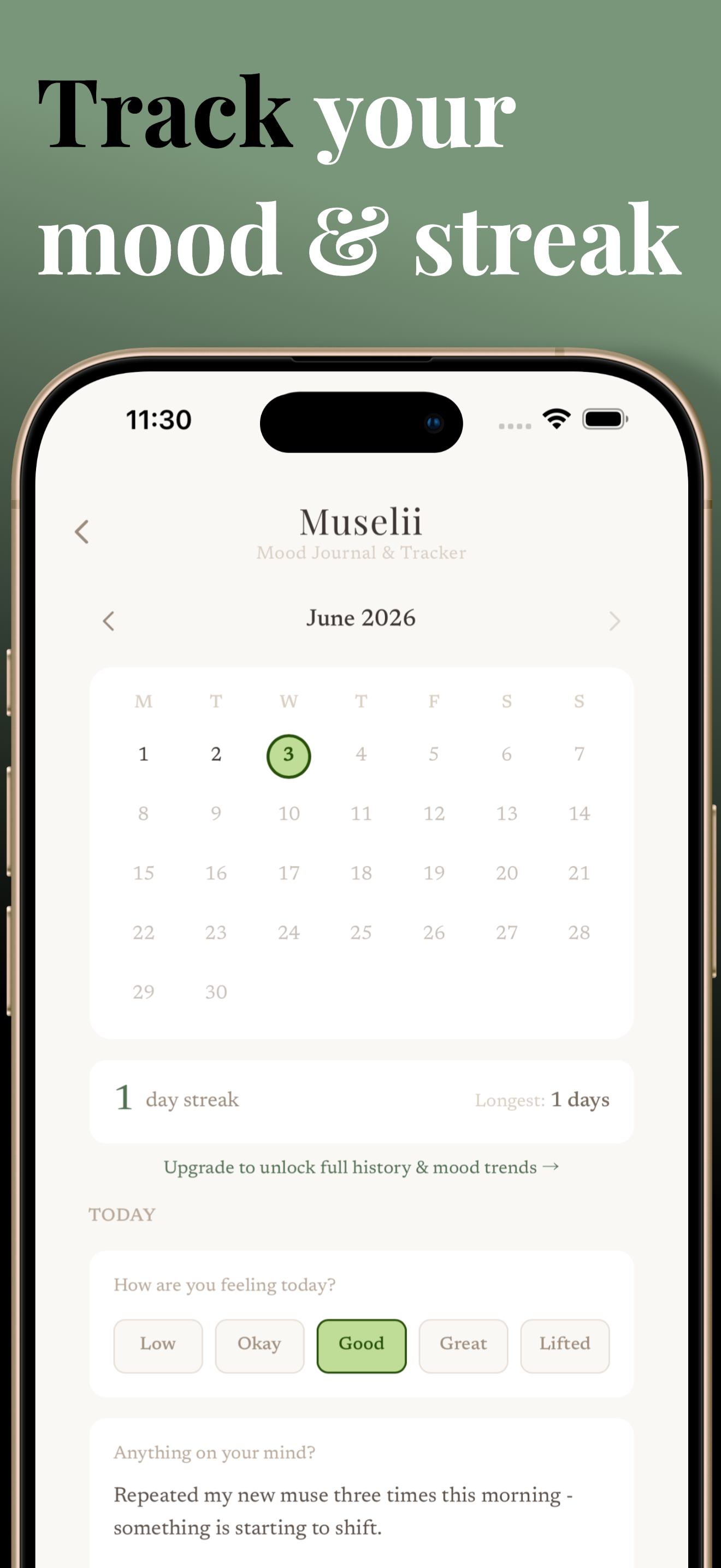 Track your mood and streak